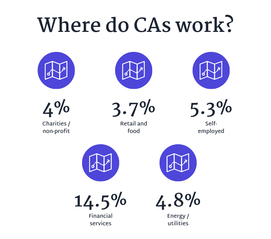 Where do CAs work?